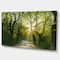 Designart - Evening in Green Forest - Large landscape Canvas Art Print